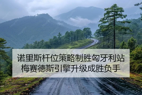 nuo-li-si-gan-wei-ce-lve-zhi-sheng-xiong-ya-li-zhan-mei-sai-de-si-yin-qing-sheng-ji-cheng-sheng-fu-shou-2-930.jpg